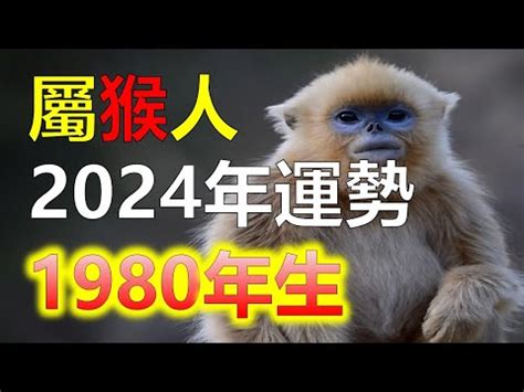 1980屬猴2023運勢|2023年12生肖運勢大全——生肖猴